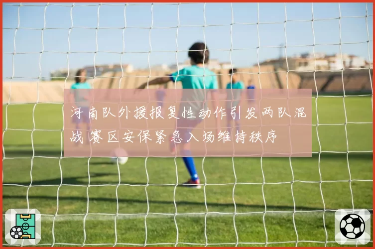 河南队外援报复性动作引发两队混战 赛区安保紧急入场维持秩序